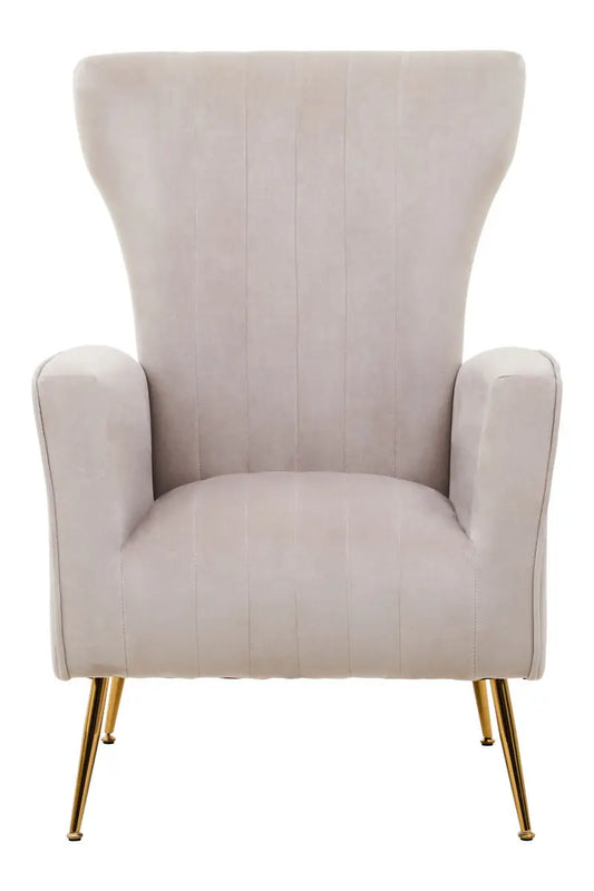 Mink Velvet Accent Chair With Gold Finish Legs | Zamora