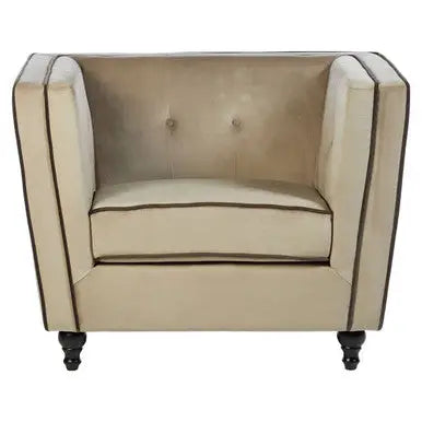 Mink Velvet Chair | Ferris