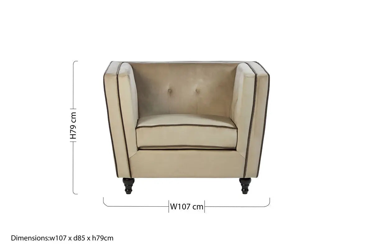 Mink Velvet Chair | Ferris