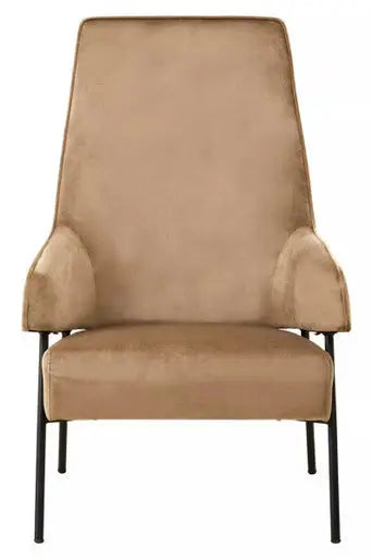 Mink Velvet Chair | Henia