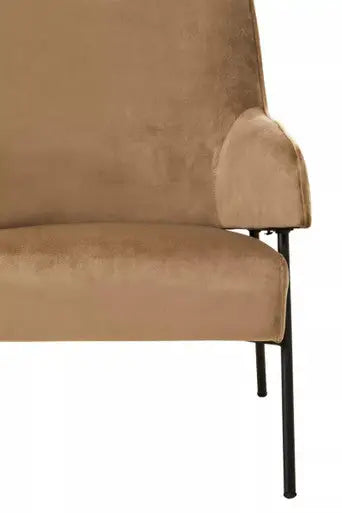 Mink Velvet Chair | Henia