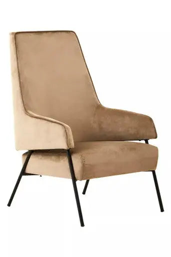 Mink Velvet Chair | Henia