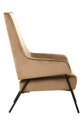 Mink Velvet Chair | Henia