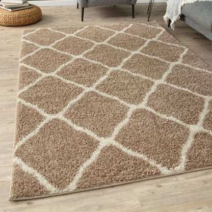 Moroccan Beige Shaggy Rug | 720