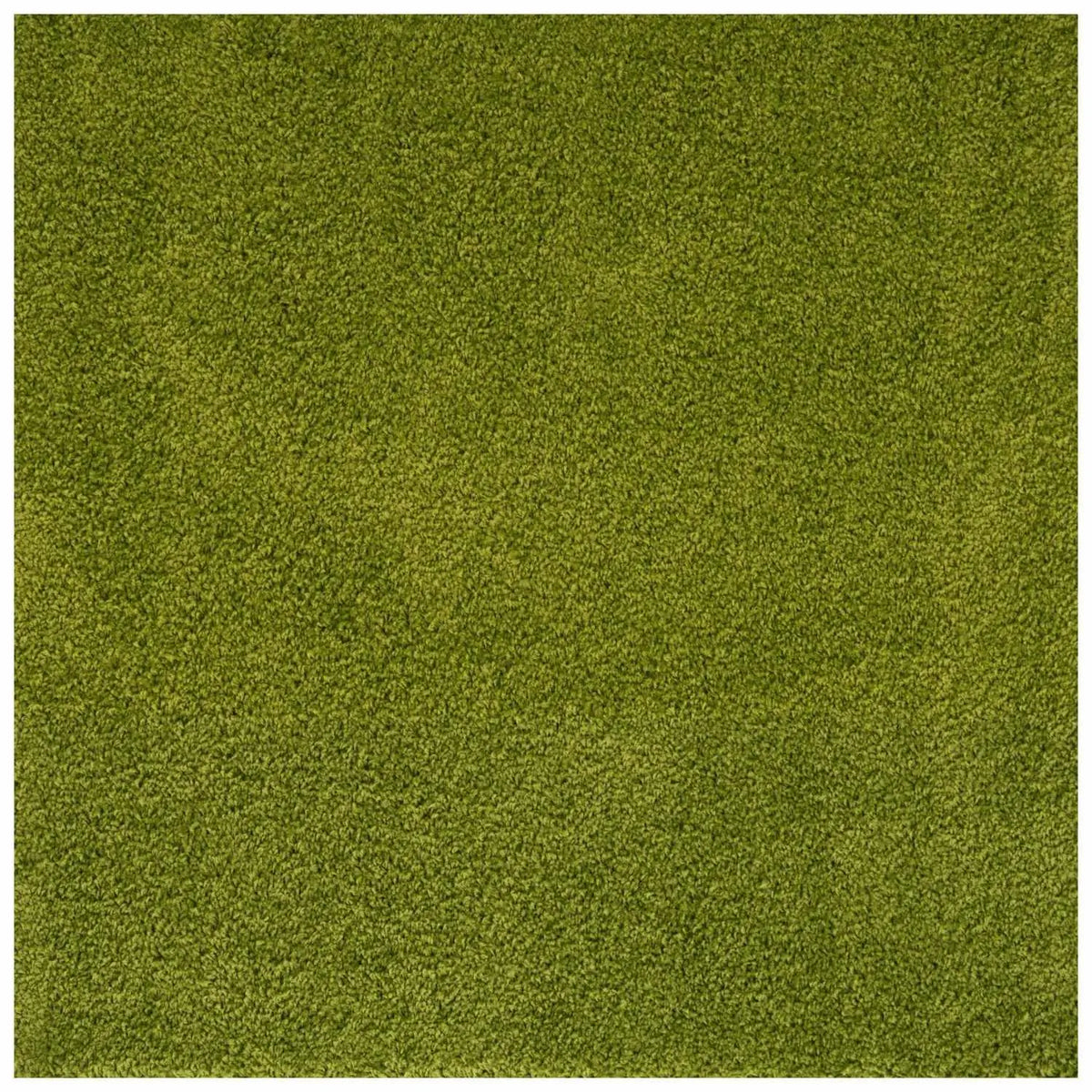 Myshaggy Solid Green Rug