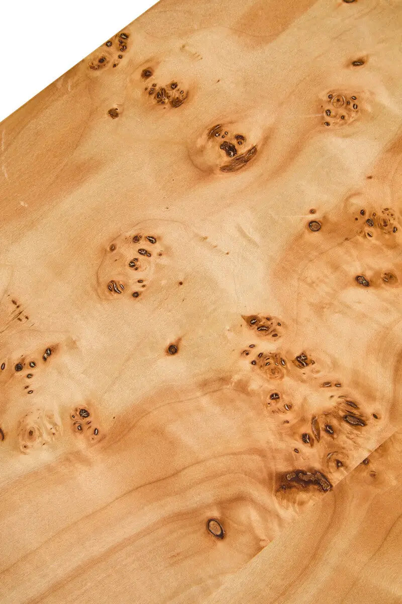 Natural Burl Wood Curved Coffee Table with Smooth Curved Edges, Mota