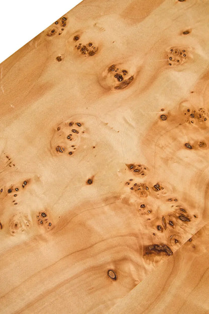 Natural Burl Wood Curved Coffee Table with Smooth Curved Edges, Mota