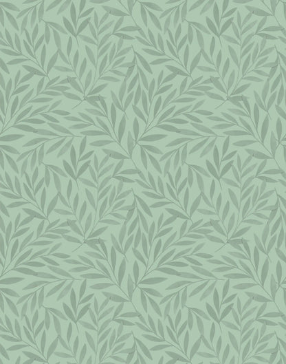Olea