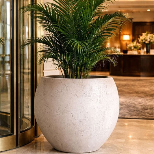 Orbello | Truffle – 70cm Extra Large Concrete Sphere Planter – 207L Round Plant Pot - Pots & Plants