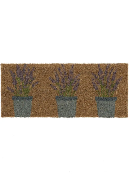 Outdoor Lavender Coir Insert (23x53cm)