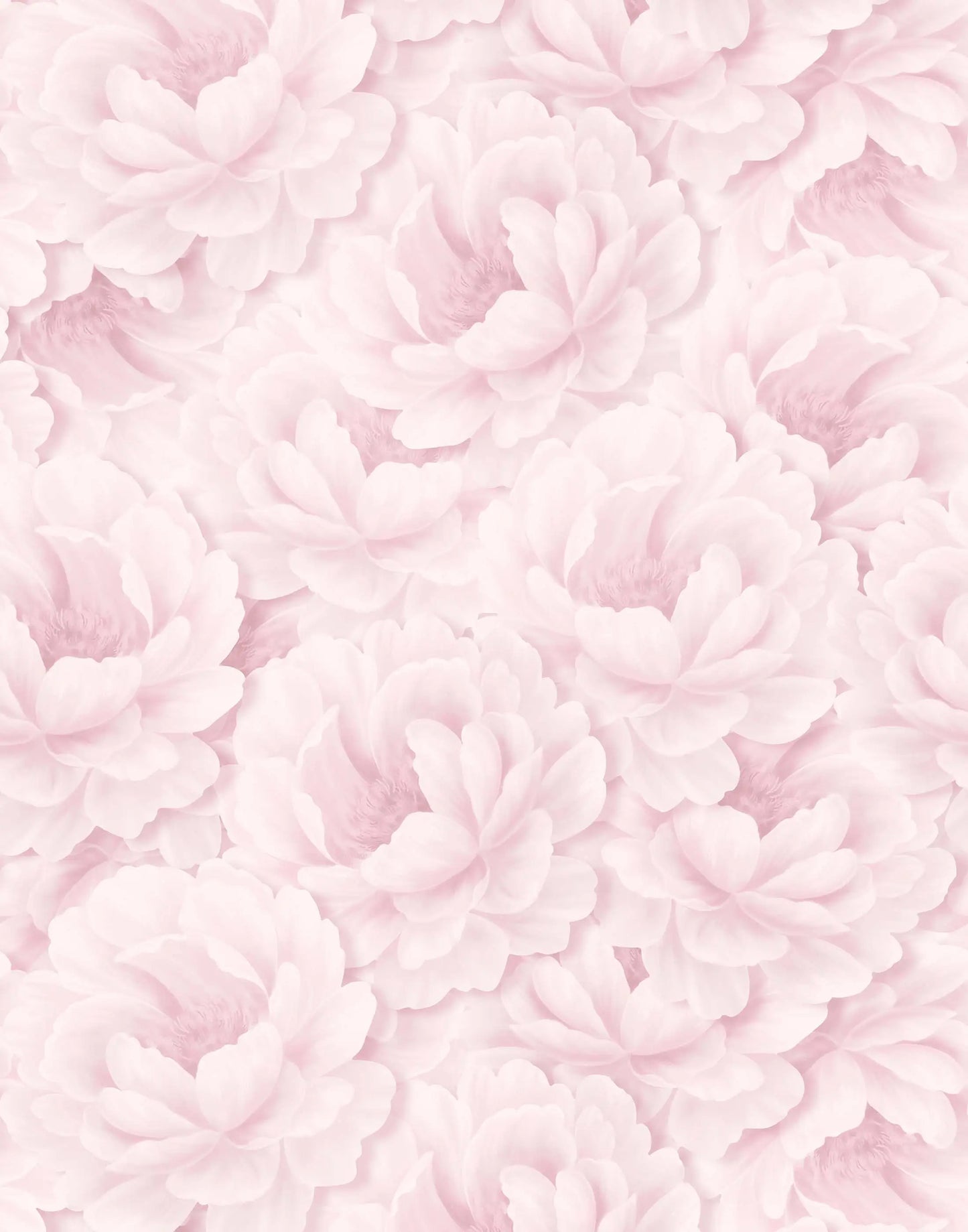 Paeonia