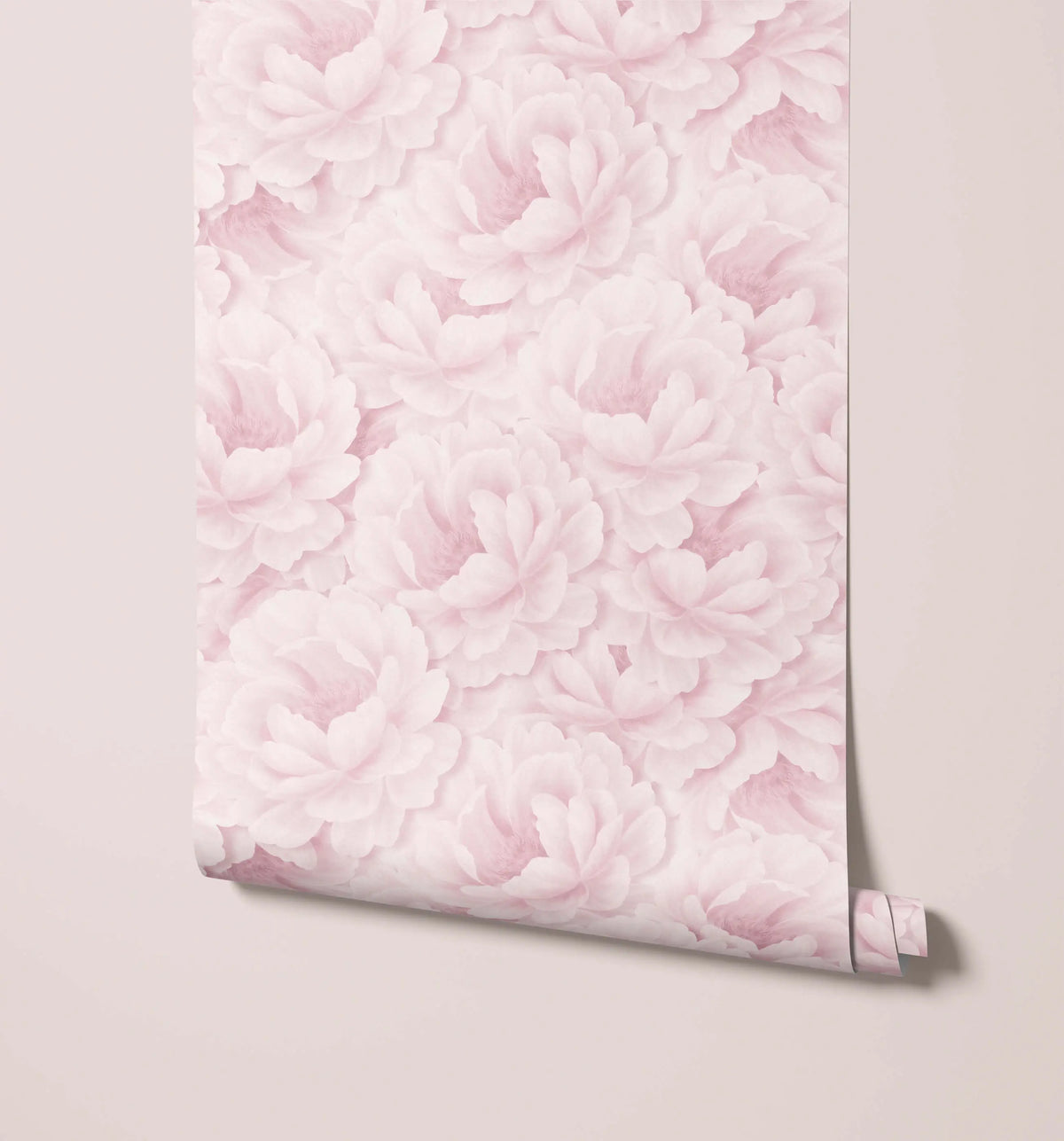 Paeonia