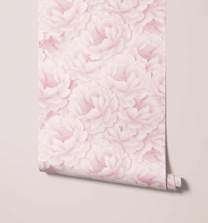 Paeonia