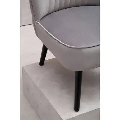 Regents Park Grey Velvet Chair with Black Legs