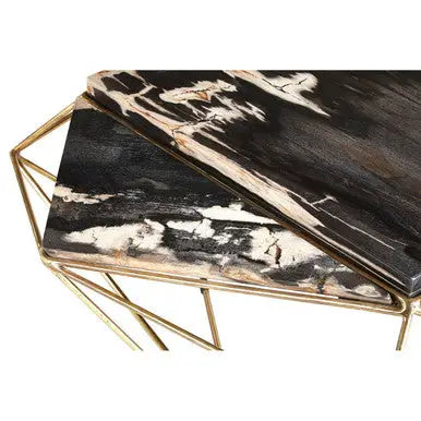 Rustic Dark Petrified Wood Coffee Table with Gold Brass Geometric Frame, Relic