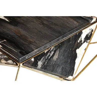 Rustic Dark Petrified Wood Coffee Table with Gold Brass Geometric Frame, Relic