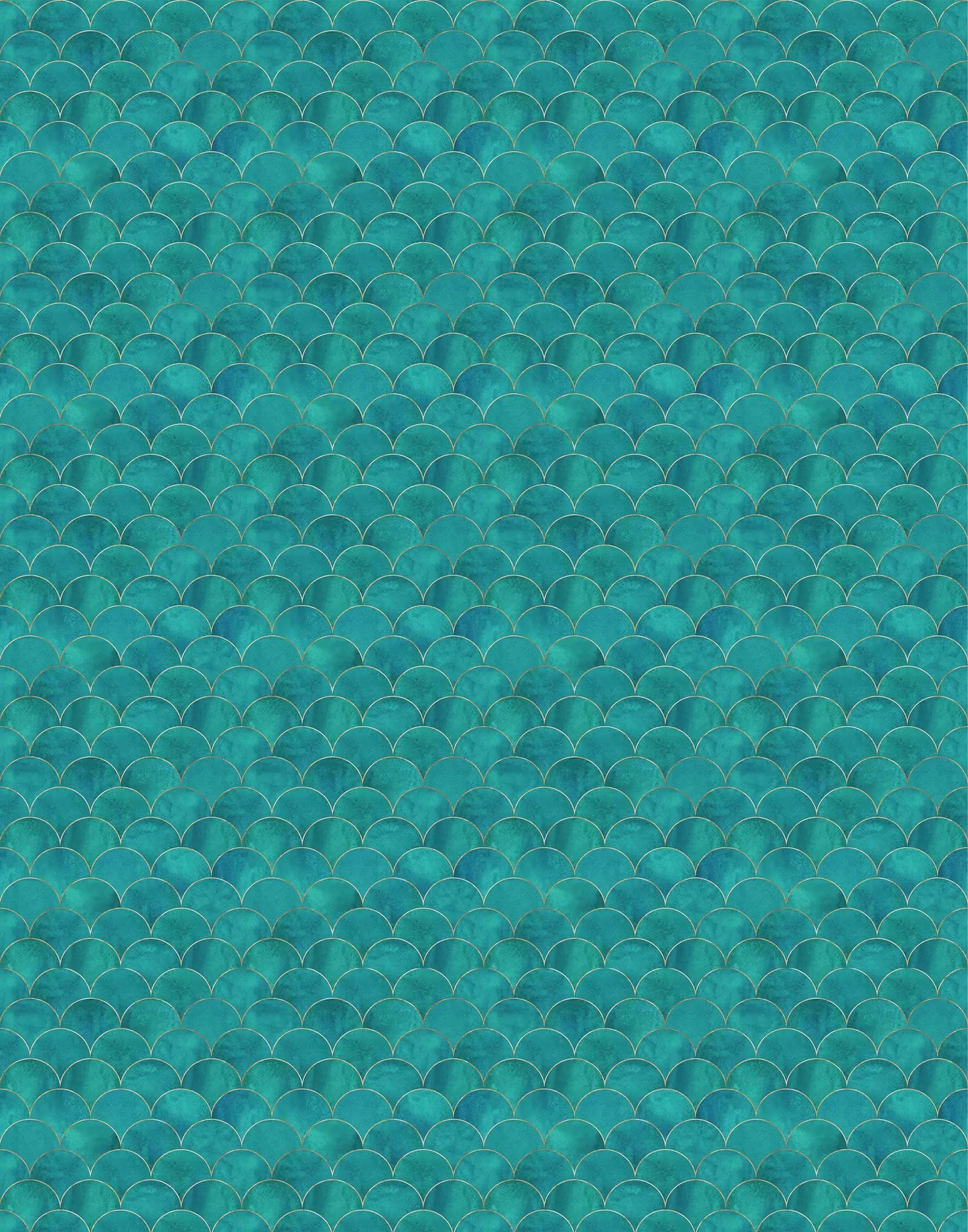 Scallop