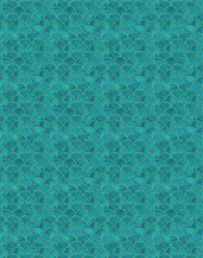 Scallop