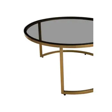 Set of 2 Black Tinted Glass Round Tops Nesting Coffee Tables with Brushed Gold Stainless Steel Frames, Alana