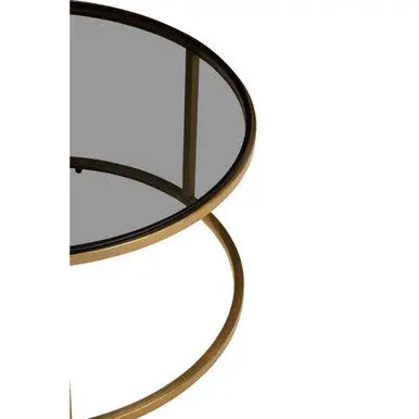 Set of 2 Black Tinted Glass Round Tops Nesting Coffee Tables with Brushed Gold Stainless Steel Frames, Alana