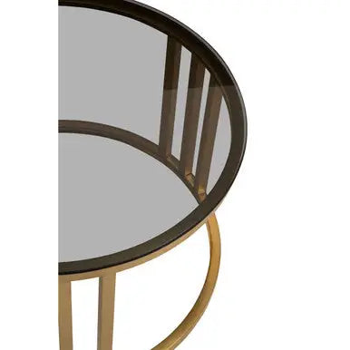 Set of 2 Tinted Glass Round Tops Nesting Coffee Tables with Brushed Gold Stainless Steel Frames, Alana