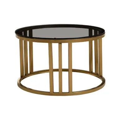 Set of 2 Tinted Glass Round Tops Nesting Coffee Tables with Brushed Gold Stainless Steel Frames, Alana