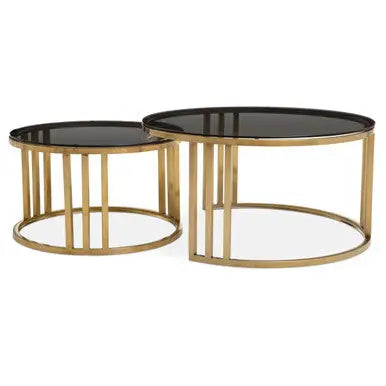 Set of 2 Tinted Glass Round Tops Nesting Coffee Tables with Brushed Gold Stainless Steel Frames, Alana