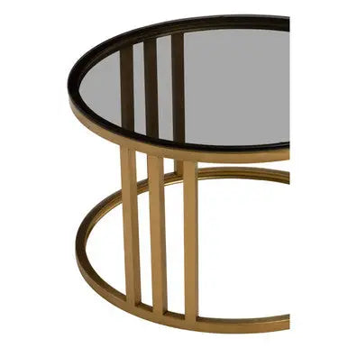 Set of 2 Tinted Glass Round Tops Nesting Coffee Tables with Brushed Gold Stainless Steel Frames, Alana