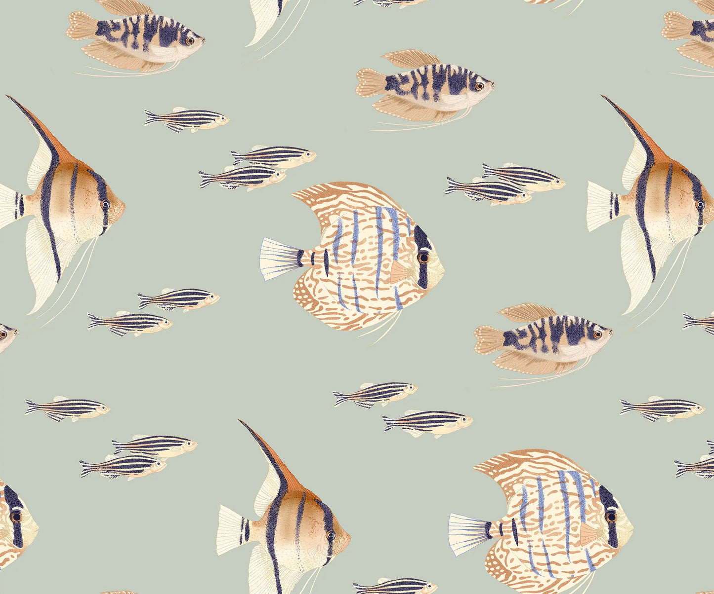 Shoal