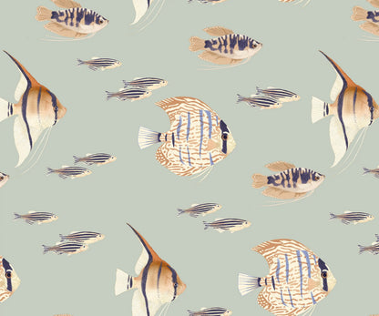 Shoal