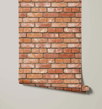 Stok