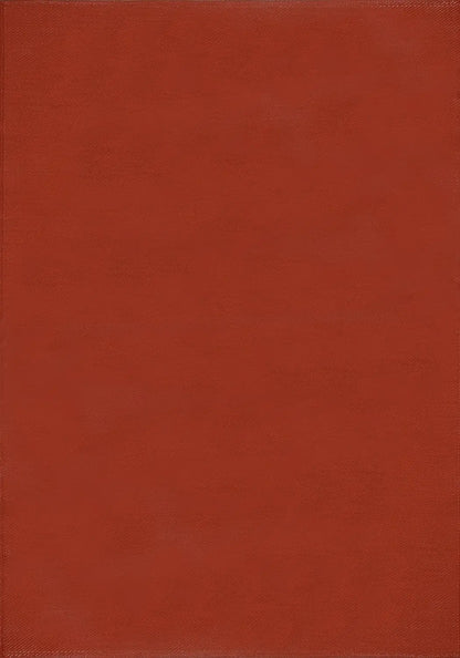 Urban Outdoor Rug Terra | 1000