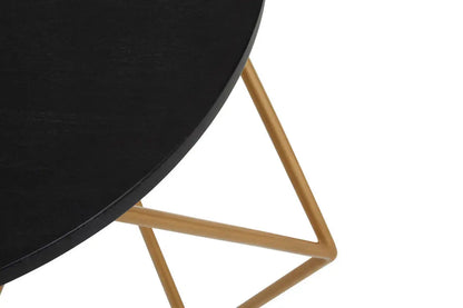 Varana Black Marble Round Coffee Table with Gold Finish Frame