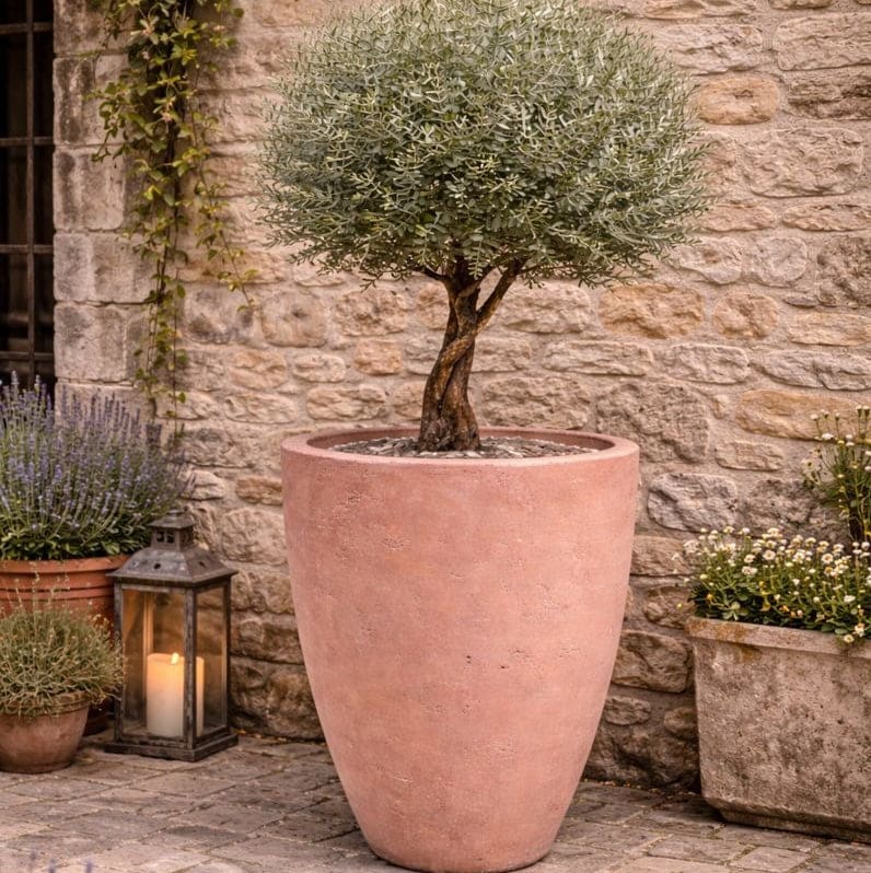Vessara | Blushstone – 100cm XXL Concrete Vase Planter – 172L Tall Plant Pot - Pots & Plants
