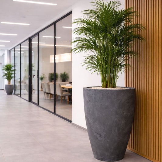 Vessara | Onyx Dusk – 100cm XXL Concrete Tall Vase Planter – 172L Round Plant Pot - Pots & Plants