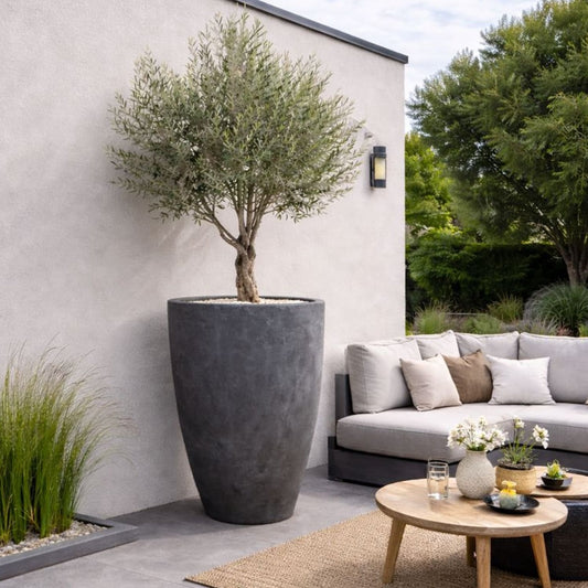 Vessara | Onyx Dusk – 100cm XXL Concrete Tall Vase Planter – 172L Round Plant Pot - Pots & Plants