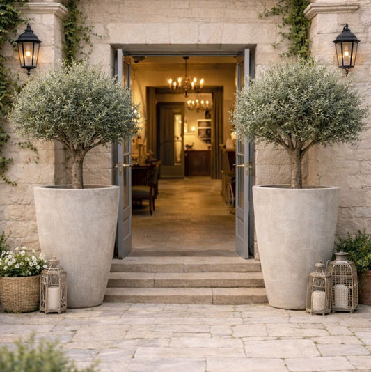 Vessara | Truffle – 100cm XXL Tall Concrete Planter – 172L Round Plant Pot - Pots & Plants