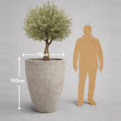 Vessara | Truffle – 100cm XXL Tall Concrete Planter – 172L Round Plant Pot