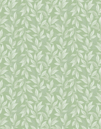 Vine