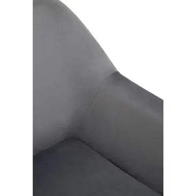 Xander Grey Velvet Accent Chair with Black Finish Legs