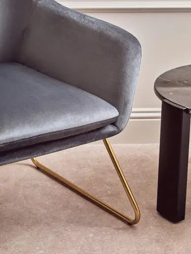 Xander Grey Velvet Accent Chair with Gold Finish Legs
