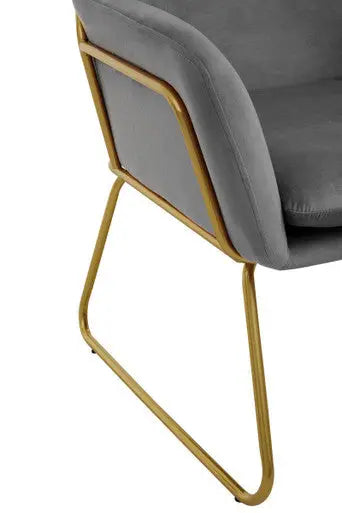 Xander Grey Velvet Accent Chair with Gold Finish Legs