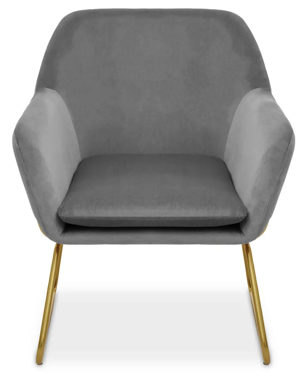 Xander Grey Velvet Accent Chair with Gold Finish Legs