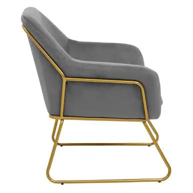 Xander Grey Velvet Accent Chair with Gold Finish Legs