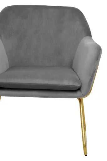 Xander Grey Velvet Accent Chair with Gold Finish Legs