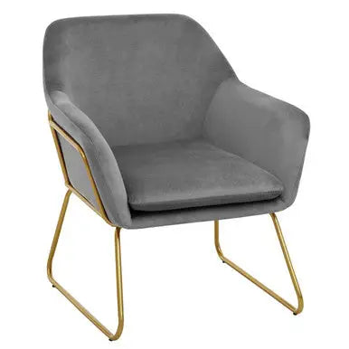 Xander Grey Velvet Accent Chair with Gold Finish Legs