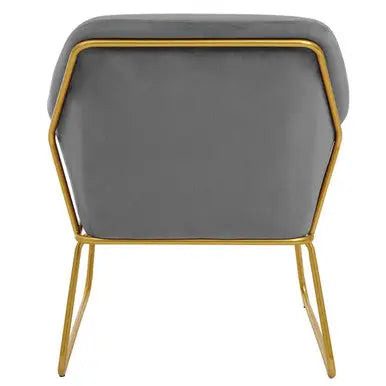 Xander Grey Velvet Accent Chair with Gold Finish Legs