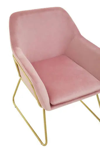 Xander Pink Velvet Accent Chair with Brushed Gold Finish Legs