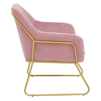 Xander Pink Velvet Accent Chair with Brushed Gold Finish Legs